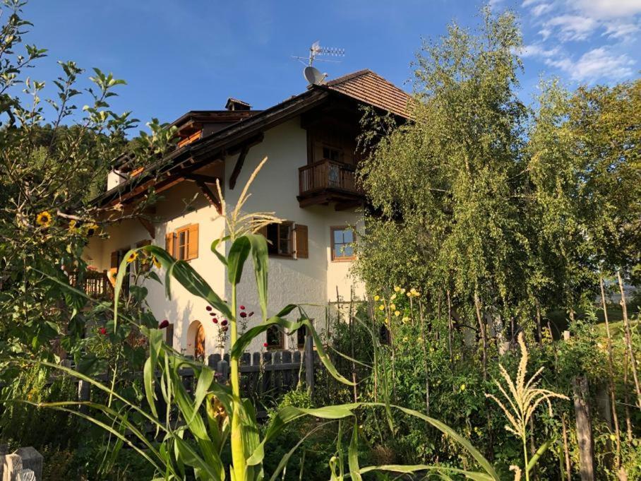 Birbamergut Longostagno Exterior photo